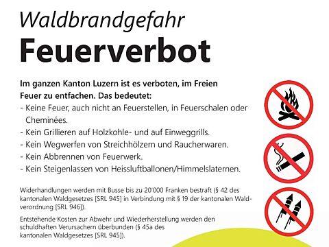 260806_Waldbrand.jpg
